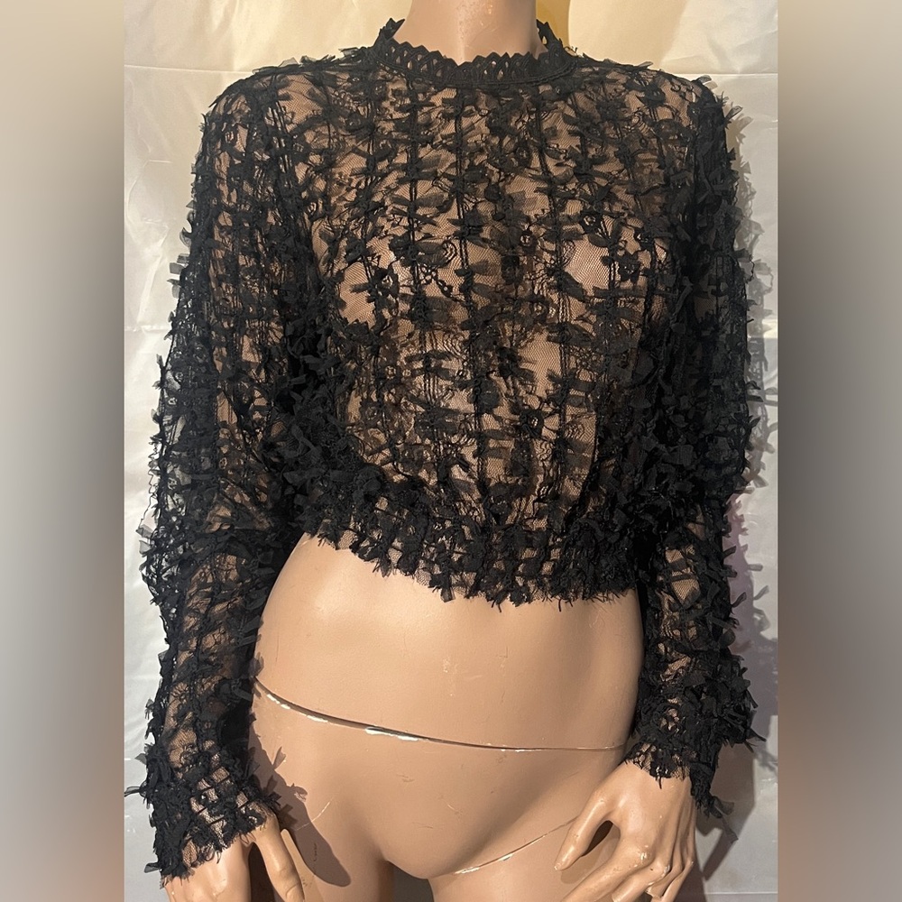 a. peach Transparent Long Sleeve Crop Top With Lace Detail Size L